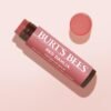Burt's Bees Lip Tint Balm with Long Lasting 2 in 1 Duo Tinted Balm Formula, Color Infused with Deeply Hydrating Shea Butter for a Natural Looking Buildable Finish, Fiery Red Dahlia (2-Pack)