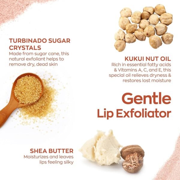 71nDOaeB0hL._SL1500_.jpg Hanalei Vegan Sugar Lip Scrub Exfoliator - Hawaiian Cane Sugar, Kukui Oil & Shea Butter for Smooth, Hydrated Lips - Natural, Cruelty-Free Lip Care, Removes Dry Skin, Moisturizes & Softens (22g)