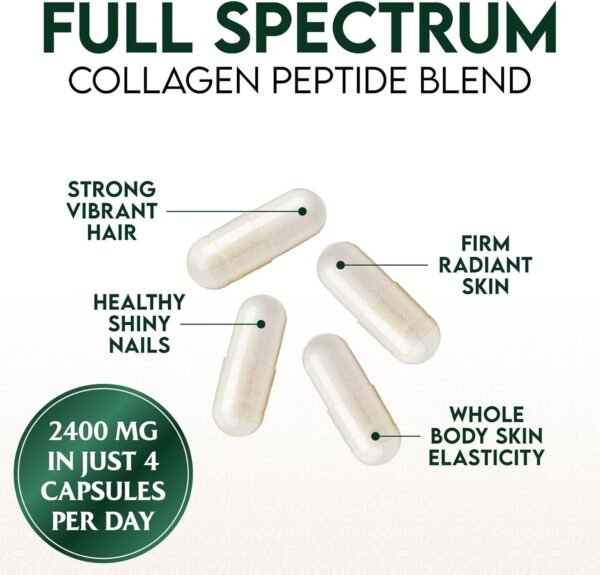 Collagen Peptides for Women & Men - Type I, II, III, V, X Multi Collagen, Hydrolyzed Collagen Supplement Supports Hair, Nail, Skin, Bone and Joint Health with Vital Nutrients & Proteins - 120 Capsules