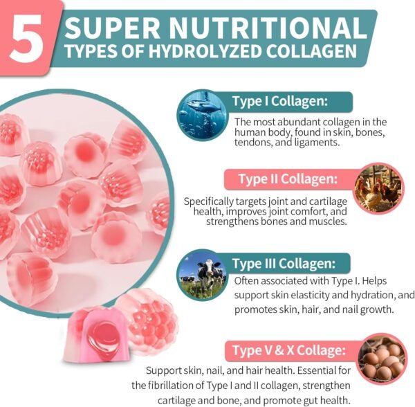 Collagen Peptides Gummies for Women Men Sugar-Free, Multi Collagen Peptides Hydrolyzed Protein Type I, II, III, V, X with Biotin Vitamin C A E D3 B6 B12 for Skin Hair Nails, Bone