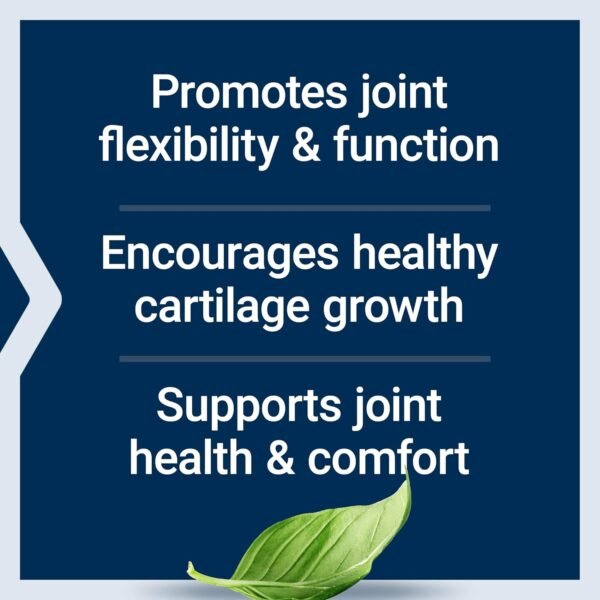 71sCMAEqMML._AC_SL1500_.jpg Life Extension NT2 Collagen™, Joint Health Supplement for Joint Comfort & Mobility, Gluten-Free, Non-GMO, 1 Daily, 60 Small Capsules