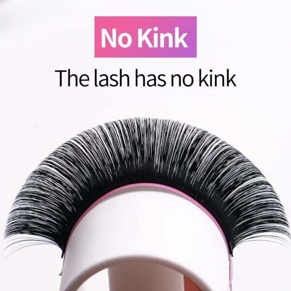71sjJrYguXL._SL1500_.jpg VEYES INC Classic Volume Lash Extensions 0.03-0.20 J/B/L/C/CC/D/DD Curl 5-25mm Mixed & Single Length Tray, Premium Silk Eyelashes, Professional Supplies for Lash Techs(Matte Black 0.15 D 8-16mm)