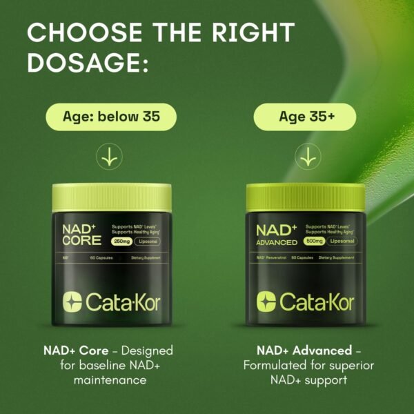71xZhoz1qVL._AC_SL1500_.jpg NMNH Supplement Alternative - Liposomal NAD with Resveratrol - High Purity NAD Supplement for Anti-Aging, Energy, Focus - 60 Capsules