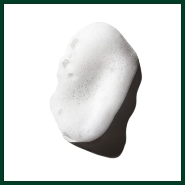 71xqVaOJHOL._SL1500_.jpg Aveda Phomollient Styling Foam | Weightless Mousse for Fine to Medium Hair