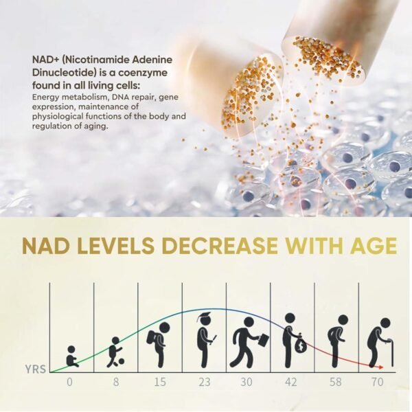 Life Nutrition-NAD+ Supplement 1000mg 120 Capsule - True NAD+ & Resveratrol,NMN Alternative for Anti-Aging