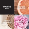 81S71dI3L._SL1500_.jpg Lucky Brand Lucky You Perfume for Women, Eau De Toilette Day or Night Spray with Fresh Flower Citrus Scent, 3.4 fl oz
