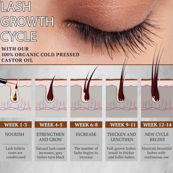 8131r3Qb5bL._SL1500_.jpg Organic Cold Pressed Castor Oil USDA Certified Eyelash and Hair Growth Serum, Hexane-Free, Conditions and Stimulates Growth for Lashes, Brows and Hair