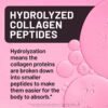 NatureWise Hydrolyzed Liquid Collagen for Women & Men 4000mg - High Absorption, Type 1 & 3 Peptides with Biotin + Vitamin C + Vitamin B Complex & Hyaluronic Acid -Mixed Berry - 30 Tubes[30 Day Supply]