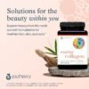 8182HwrnNL._AC_SL1500_.jpg Youtheory Marine Collagen - 2,500 mg Hydrolyzed Collagen - Supports Skin* - Fish-Sourced Collagen - with Vitamin C, A, C, E, B6, B12 & More - Highly Digestible and Absorbable - 290 Tablets