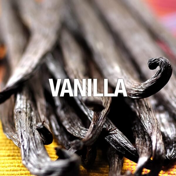 Curve Women's Perfume, Eau De Toilette Spray, Curve Crush, 3.4 Fl Oz