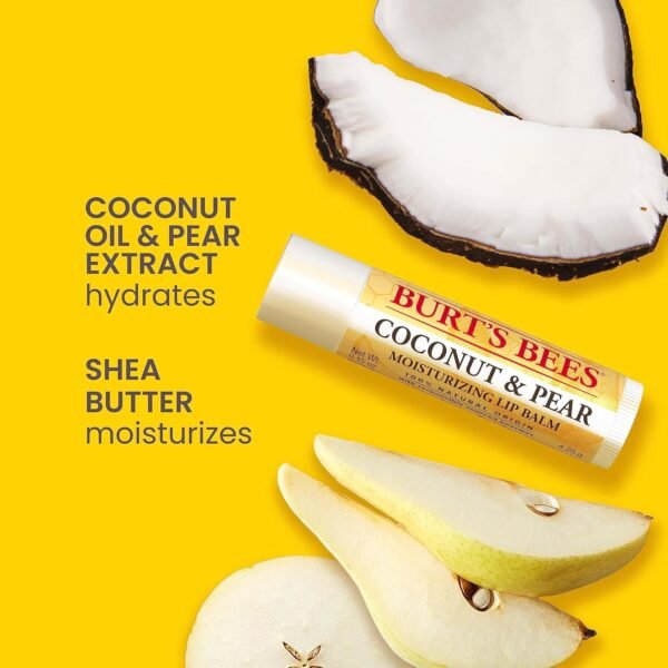 81E9G9IUxKL._SL1500_.jpg Burt's Bees Lip Balm, Beeswax, Strawberry, Coconut and Pear, and Vanilla Bean Pack, With Responsibly Sourced Beeswax, Tint-Free, Natural Lip Treatment, 4 Tubes, 0.15 oz.