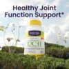 81F0rghXq5L._AC_SL1500_.jpg Healthy Origins UC-II 40 mg (Undenatured Type II Collagen, Non-GMO, Gluten Free, Joint Support), 120 Veggie Caps