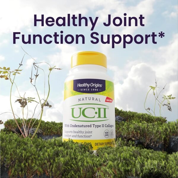 81F0rghXq5L._AC_SL1500_.jpg Healthy Origins UC-II 40 mg (Undenatured Type II Collagen, Non-GMO, Gluten Free, Joint Support), 120 Veggie Caps
