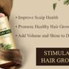 81FN2lAdRWL._SL1500_.jpg Handcraft Blends Castor Oil with Rosemary Oil - 8 Fl Oz - 100% Pure and Natural - Premium Grade Carrier Oil for Hair Growth, Eyelashes and Eyebrows, Hair & Body