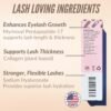 LeVaye Cosmetics Show Lash Eyelash Serum for Longer, Thicker, Gorgeous Looking Lashes, Cruelty Free Lash Serum