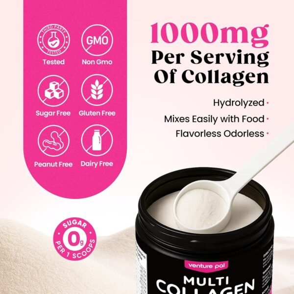 81JT9oESTML._AC_SL1500_.jpg Venture Pal Multi Collagen Protein Powder for Joint Support - Hydrolyzed Collagen Peptides MSM + GC, Type I II III V X & Vitamin C | Collagen Supplement for Women & Men | Hair, Skin, Nail & | Non-GMO