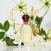 81LCVahs7qL._SL1500_.jpg Paul Sebastian DESIGN Perfume For Women, Day & Night Soft Floral Fragrance Spray, 3.4 oz