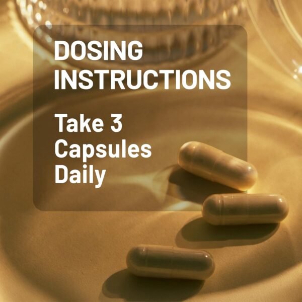 NatureWise Multi Collagen Peptides Pills for Women & Men - Type I, II, III, V, X w/Hyaluronic Acid - Supports Skin, Hair, Joint Health* - Grass Fed, Gluten Free, Non-GMO - 90 Capsules[30 Day Supply]