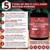 81NdLlxhHKL._AC_SL1500_.jpg Wholesome Wellness Multi Collagen Protein Powder Hydrolyzed (Type I II III V X) Grass-Fed All-in-One Super Bone Broth + Peptides - Premium Blend of Beef, Chicken, Wild Fish, Eggshell, 58 Servings
