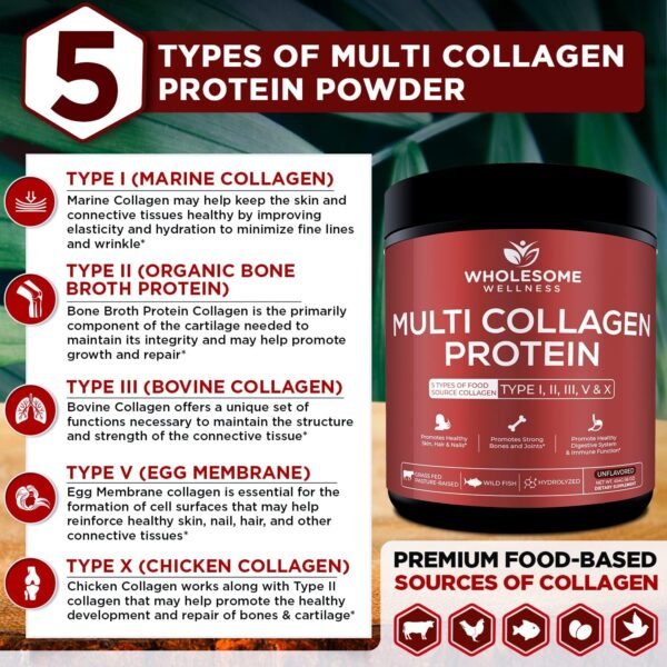 81NdLlxhHKL._AC_SL1500_.jpg Wholesome Wellness Multi Collagen Protein Powder Hydrolyzed (Type I II III V X) Grass-Fed All-in-One Super Bone Broth + Peptides - Premium Blend of Beef, Chicken, Wild Fish, Eggshell, 58 Servings