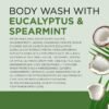 Dr Teal's Body Wash with Pure Epsom Salt, Relax & Relief with Eucalyptus & Spearmint, 24 fl oz (Pack of 2)