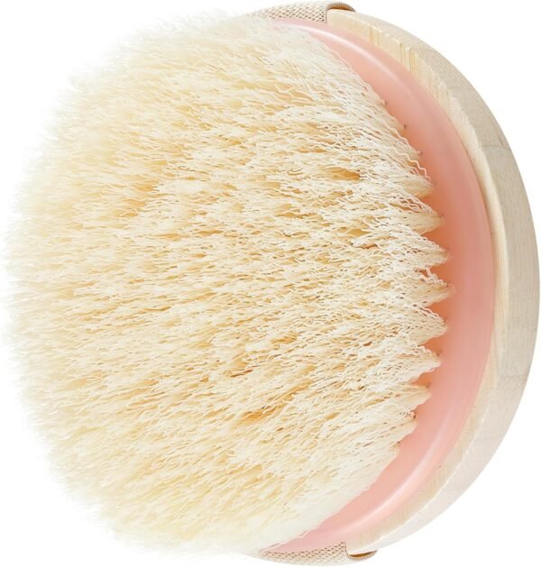 EcoTools Dry Brush, Gentle Exfoliating Scrubber for Skincare and Beauty, Pore Cleansing, Pink