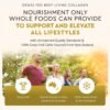 Ancestral Supplements Grass Fed Beef Living Collagen Nutritional Powder Supplement, 3000mg, Promotes Healthier, Younger Looking Skin, Hair, Nails and Joints, Type II, 180 Capsules
