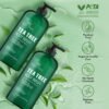 Botanic Hearth Tea Tree Body Wash | 16 fl oz | Helps Soothe Itchy, Dry Skin, Antifungal Body Wash with 100% Pure Tea Tree Oil | Sulfate Free, Paraben Free, for Men and Women Set of 2
