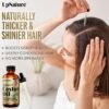81Tk2FKD90L._AC_SL1500_.jpg UpNature Organic Castor Oil (2 oz) 100% Pure Cold Pressed Unrefined Castor Oil for Hair Growth Support – Eyebrow Eyelash Growth Serum (Hexane Free) Natural Moisturizer in Glass Bottle