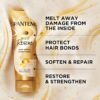Pantene Miracle Rescue Deep Conditioner with Melting Pro-V Pearls - For Dry, Damaged, or Color-Treated Hair - Intense Moisture & Repair - 8.0 Oz