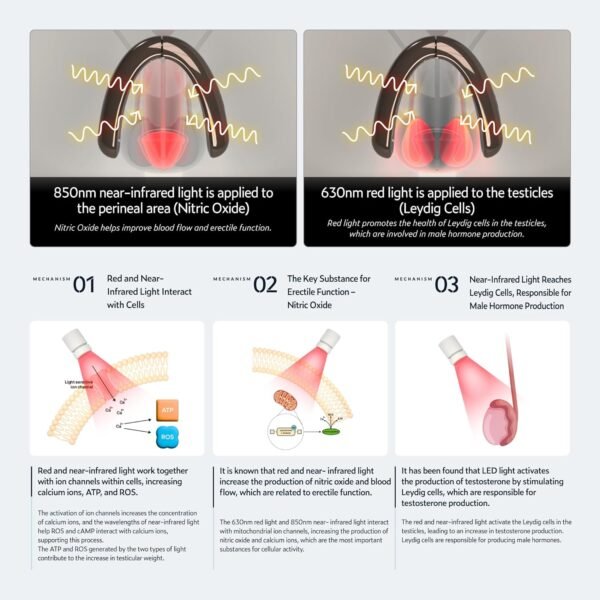 KAISAR Portable Wireless Infrared & Red Light Therapy Device for Male Urinary Care