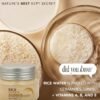 81eEx3BsicL._SL1500_.jpg The Face Shop Rice Ceramide Moisturizing Cream - Rice Extract + Rice Bran Oil - Hydrating Targets Dryness, Brightening - Dermatologically Tested - Lightweight Moisturizer Face Cream - Korean Skin Care