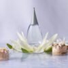 Alfred Sung Women's Perfume, Shi, Eau De Parfum EDP Spray 3.4 Fl Oz