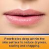 81jjwPkfECL._AC_SL1500_.jpg Neosporin Lip Health Overnight Renewal Therapy, 0.27 Oz, Pack of 2