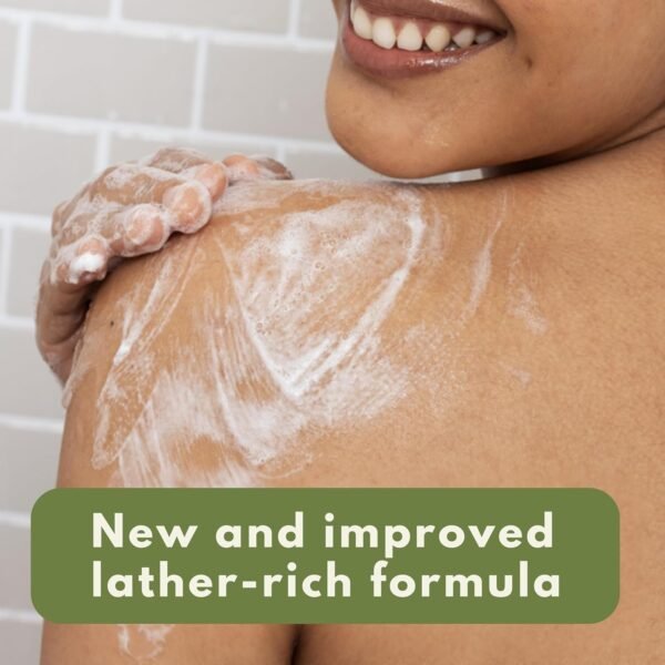 Aveeno Daily Moisturizing Body Wash for Dry Skin with Soothing Oat, Creamy Shower Cleanser, Gentle, Soap-Free and Dye-Free, Lightly Scented, 33 FL OZ