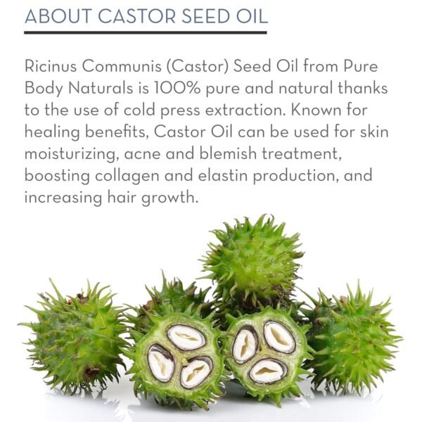 81rXujLLlwL._SL1500_.jpg Pure Body Naturals Castor Oil for Eyelashes and Eyebrows - Brow and Lash Growth Serum - Organic Hexane Free Cold Pressed Unrefined - 1 fl oz