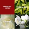 81vm1NQyhFL._SL1500_.jpg Paul Sebastian DESIGN Perfume For Women, Day & Night Soft Floral Fragrance Spray, 3.4 oz