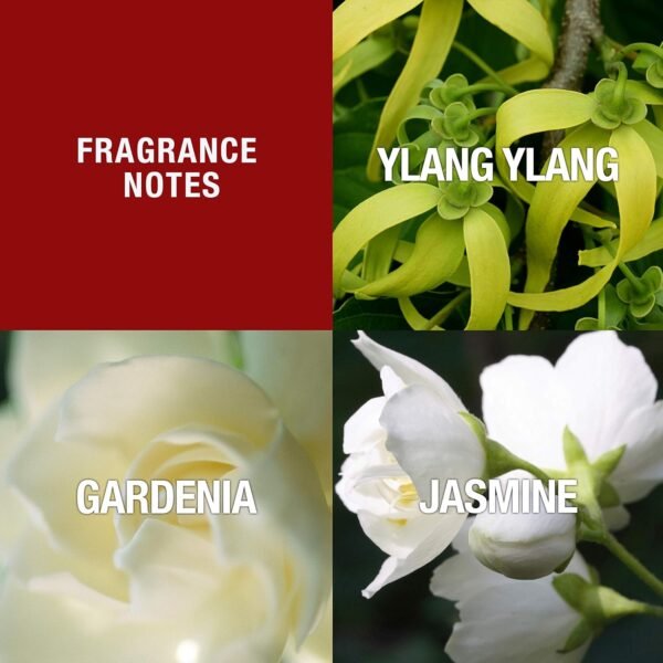 81vm1NQyhFL._SL1500_.jpg Paul Sebastian DESIGN Perfume For Women, Day & Night Soft Floral Fragrance Spray, 3.4 oz