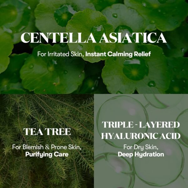 81w798JQCQL._SL1500_.jpg VT COSMETICS Cica Cream Plus, Hydrating & Calming Face Moisturizer with Centella Asiatica, Lightweight Soothing Cream for Acne, Oily, Dry and Sensitive Skin, Korean Skincare for acne prone skin