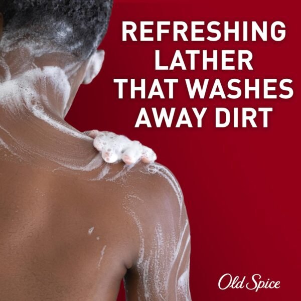 Old Spice Refreshing Body Wash for Men, 3X Defense, 24/7 Shower Fresh with Long Lasting Scent, Red Collection, Swagger with Cedarwood Scent, 24 oz (Pack of 2)