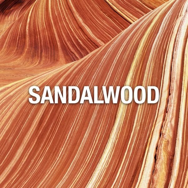 Giorgio Beverly Hills Red Perfume for Women, 3 fl. oz. EDT Spray