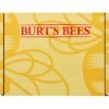 Burts Bees Rescue Lip Relief with Shea Butter and Echinacea, 100% Natural Origin, 0.35 Ounces