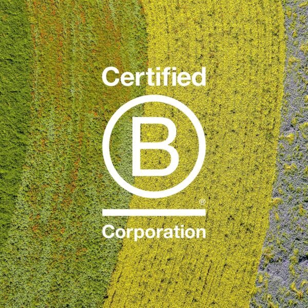 Davines MOMO Conditioner, Hydration And Detangling Formula For Soft And Silky Hair