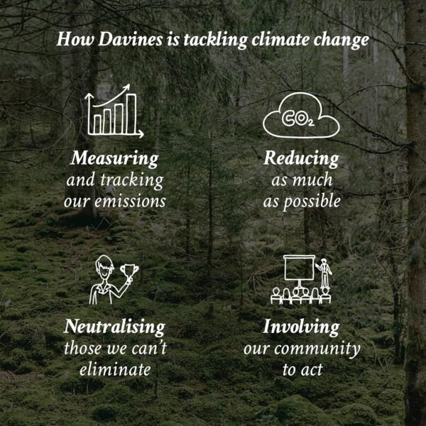 Davines MOMO Conditioner, Hydration And Detangling Formula For Soft And Silky Hair