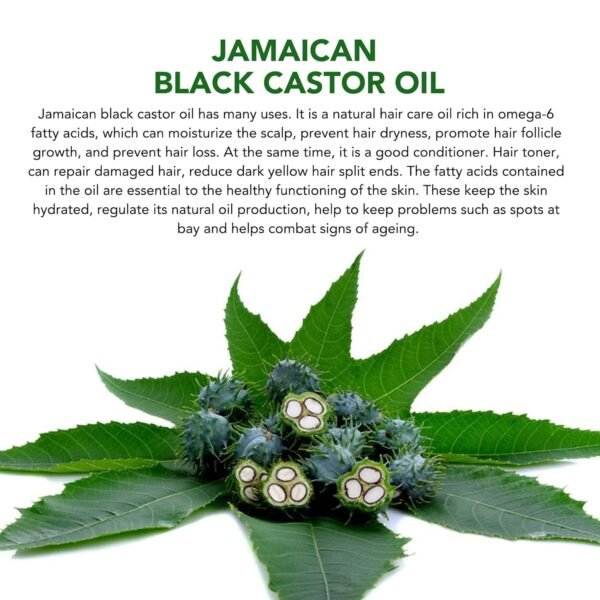 1752166587_71-M1PmdDL._SL1500_.jpg Black Castor Oil, Cold Pressed Organic Pure Hair Oil For Hair Growth, Natural Carrier Oil for Thicker Eyebrows Eyelashes, Scalp, Face, Skin Moisturizer,Moisturizing Massage Oil for Aromatherapy (1pcs)