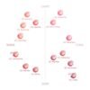 518hLOjqPL._SL1000_.jpg dasique Pure Water Lip Gloss 0.09 oz | Variety of Colors | Dewy Gloss | Buildable Gloss Tesxture | Non-Sticky | K-beauty (#11 Misty Rose)