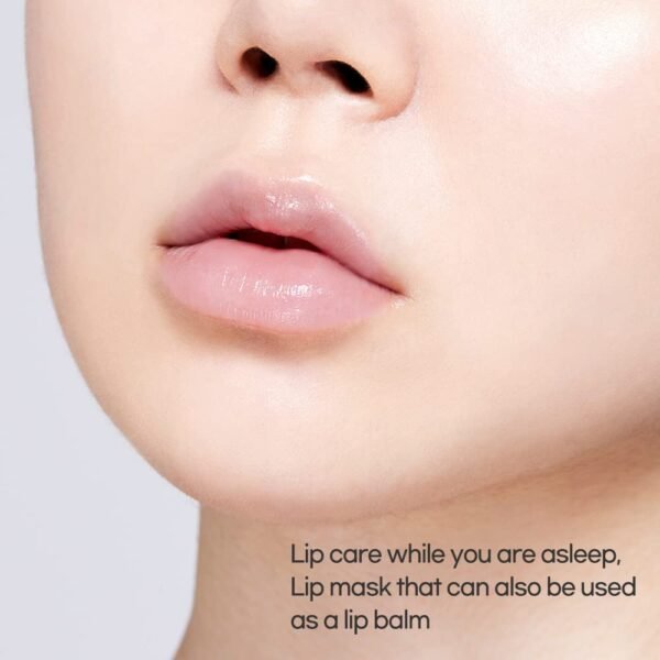 51F4lYdPo5L._SL1000_.jpg ETUDE Ginger Sugar Overnight Lip Mask 25g | Korean Lip Sleeping Mask Skin Care | Smooth and Moist Lips | Natural Ingredients Nourish & Hydrate Ginger Shea Butter Give Moisturizing Effect