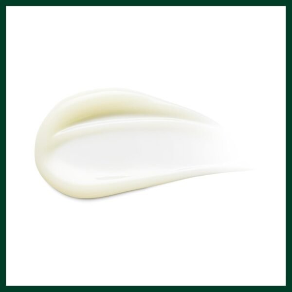 Aveda Damage Remedy Daily Hair Repair | Leave-In Treatment for Damaged Hair | Detangler | Heat Protectant | 98% Naturally Derived*, 3.4 Fl Oz