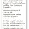 51Hcav5qb9L._SL1394_.jpg Dr. Hauschka Rose Day Cream 1