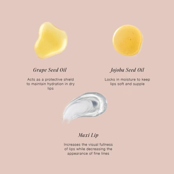 51K4ybQejLL._SL1500_.jpg Jouer Essential Vegan Lip Enhancer - Plumping Lip Gloss - Enhancing Lip Conditioner - Moisturize, Plump, & Nourishing Lip Care - Jojoba Seed Oil & Maxi Lip Formula for Moisturizing & Fullness, Vanilla
